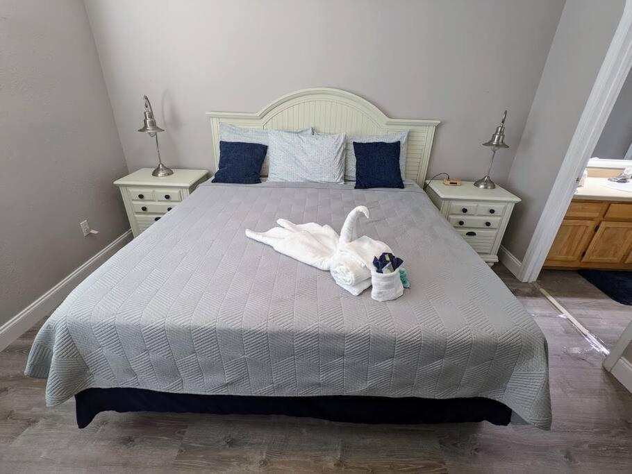 Nice & Cozy - Vacation Home Kissimmee Zewnętrze zdjęcie