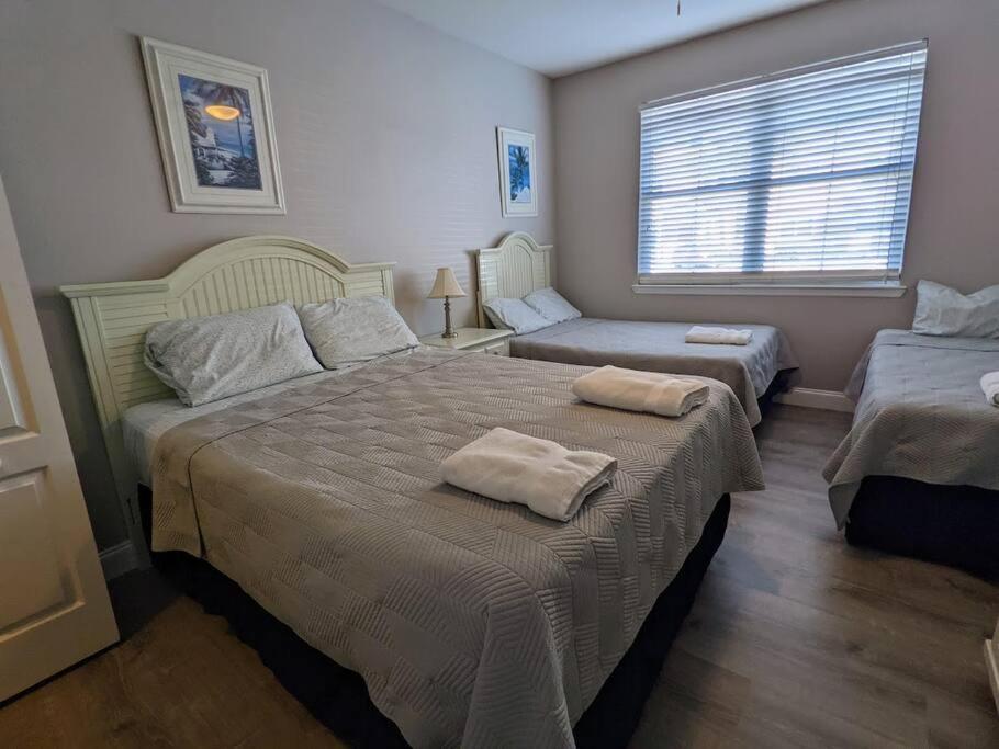 Nice & Cozy - Vacation Home Kissimmee Zewnętrze zdjęcie